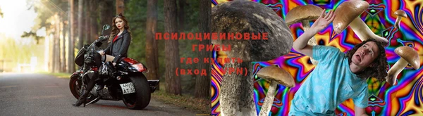 каннабис Алексеевка