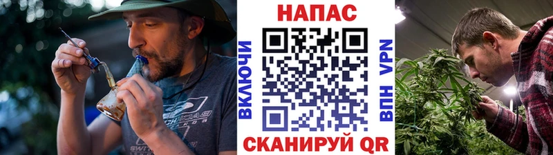 Бошки Шишки конопля  гидра вход  Богданович 
